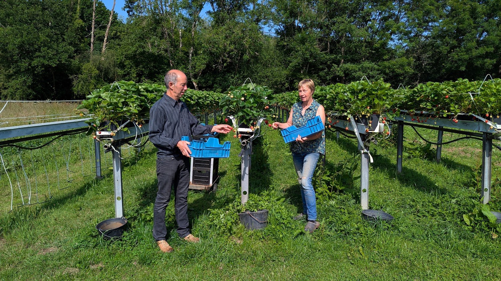 Moulin des Sablons is een kleinschalige boerderij waar groenten met respect voor de natuur worden verbouwd.